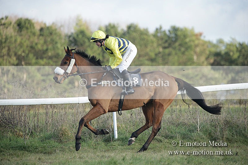 PtP 011219-0323 - Hursley Hambledon Hunt Point-to-Point 01/12/19