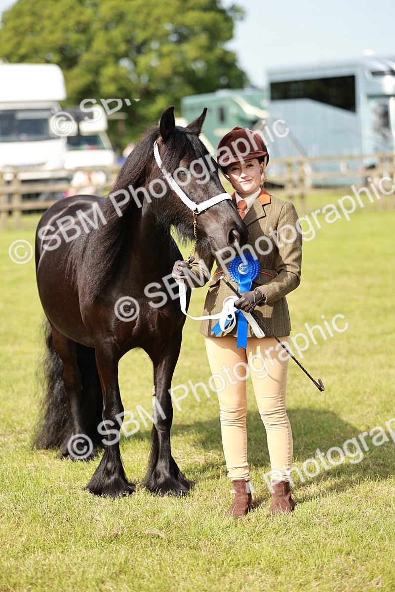 SBM_00854 - Class 14-23 - Mountain & Moorland In Hand Non Welsh