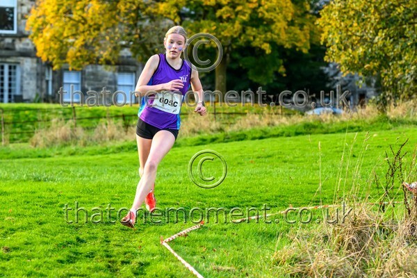 NatRel25-913916 - Young Female Set Two