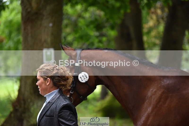 240522-165712-01279 - 229-ROCK_THE_CASPAR-Ali_Wilkes