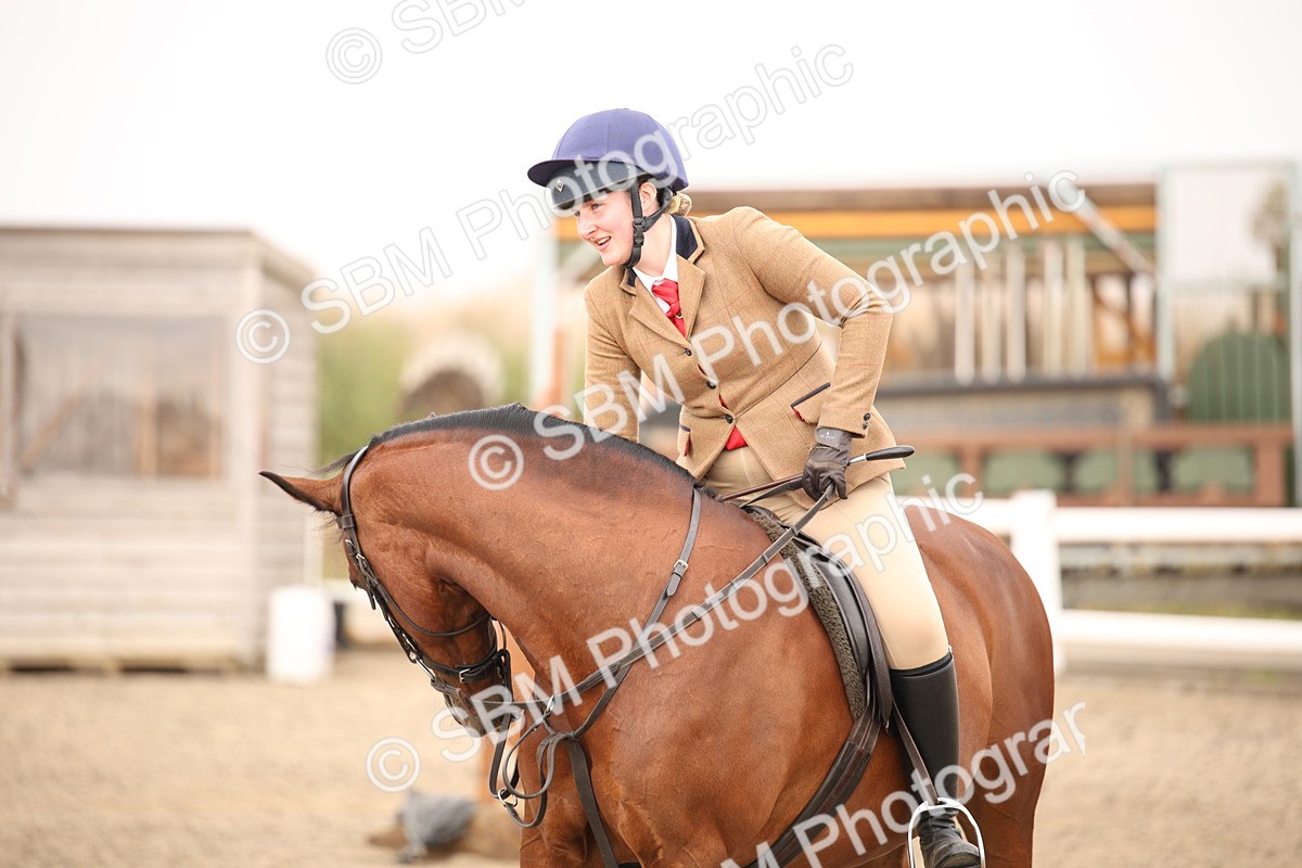 SBM_12277 - Class 405a - M&M Working Veteran 50cm (15-19)