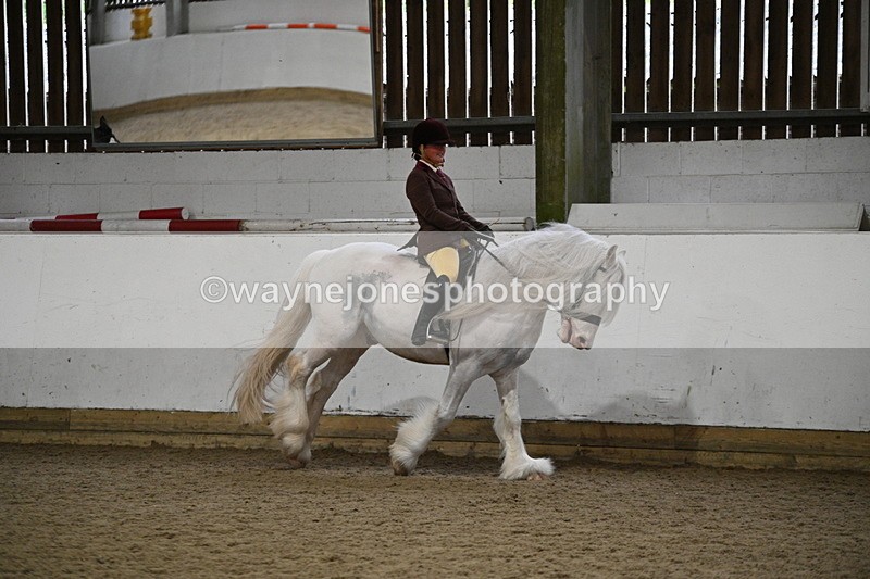 WJ7_4413 - Class 17 Ridden Cob