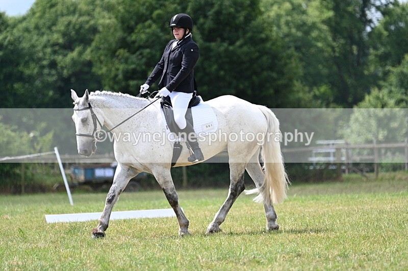 WJ7_4902 - Time 11:22 to 11:51