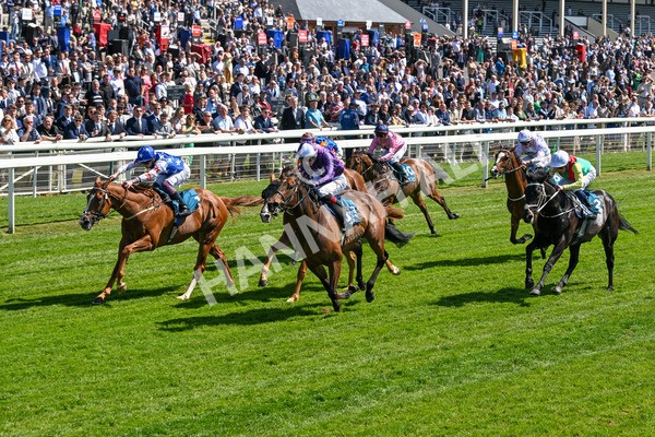 160525-Race 2-Thunder Run-6241 - Race 2 2.42pm Knights Solicitors Handicap