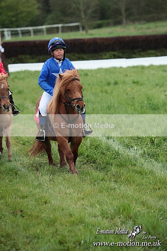 SHETPR 210425 247 - Shetland Ponies Paxford Races 21/04/25