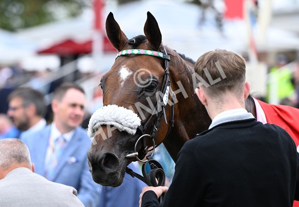230825-049 Tarriance - Race 2 2.25pm Sky Bet Melrose Handicap
