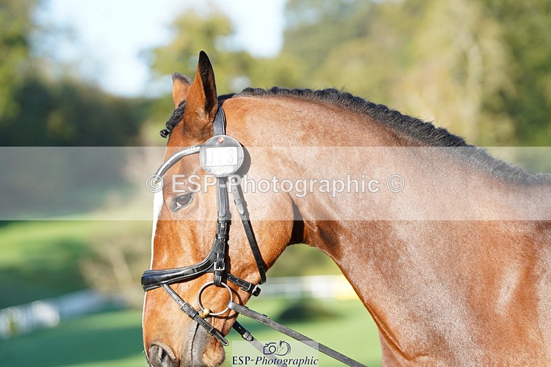 241026-100458-11598 - 013-Cameron.Beer-GREENLANES.LE.BAMBALOU