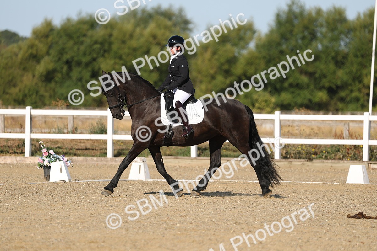 SBM_012641 - Class 1 - P5 Bronze 9.00.10.12
