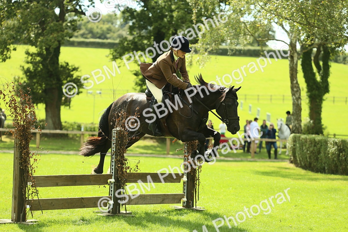 SBM_42871 - S30 - M&M Working hunter Pony