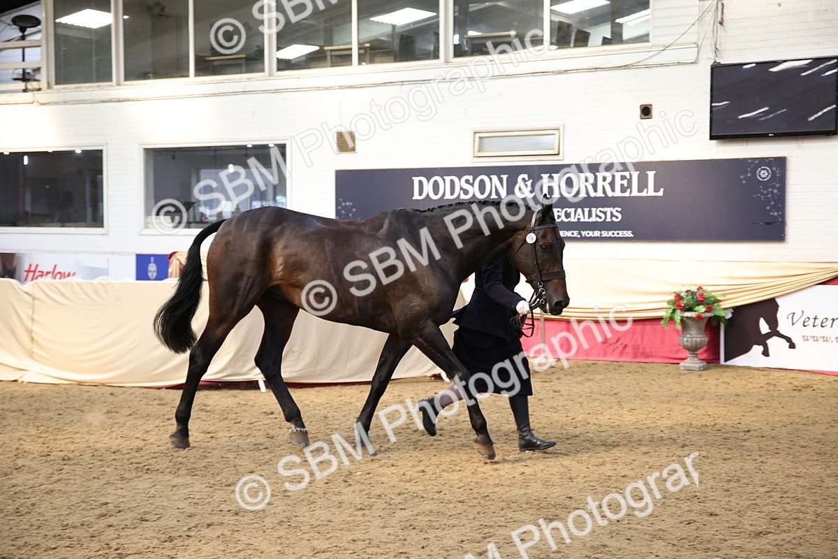 SBM_24763 - Class 906 - Supreme Final - Ridden Pre Vet