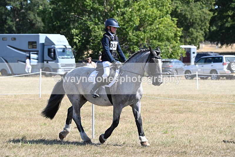 WJ6_8289 - Class 37a Best Loan Pony Ridden