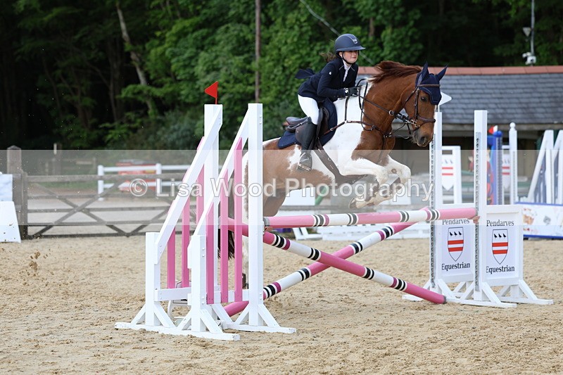 3E7A8540 - Class 14: Pony Newcomers/1m open