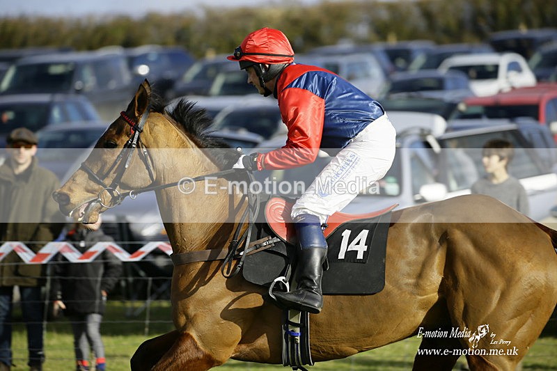 PtP 300122 326 - South Dorset Hunt - Point-to-Point Races 30/01/2022