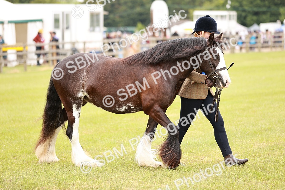 SBM_04714 - Class 5-8 - BSPA In hand