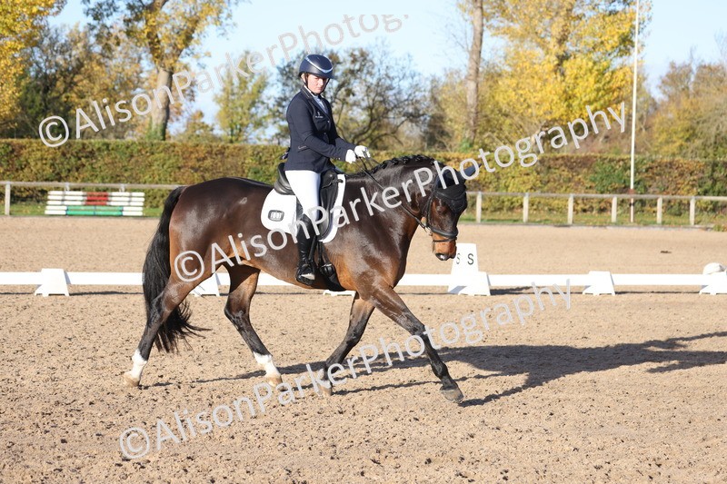 20251102-1243 - Class 8 - Medium 6