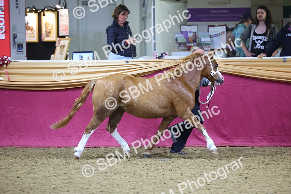 SBM_18942 - Class F Grass Roots Champ