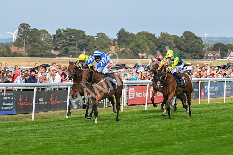 240825-Race 5-This Years Love-3395 - Race 5