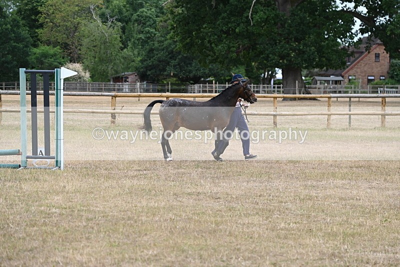 WJ6_8542 - Class 10 Coloured in Hand