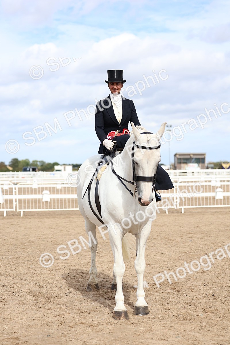 SBM_03266 - Class 22 - SSA Equitation (any age)