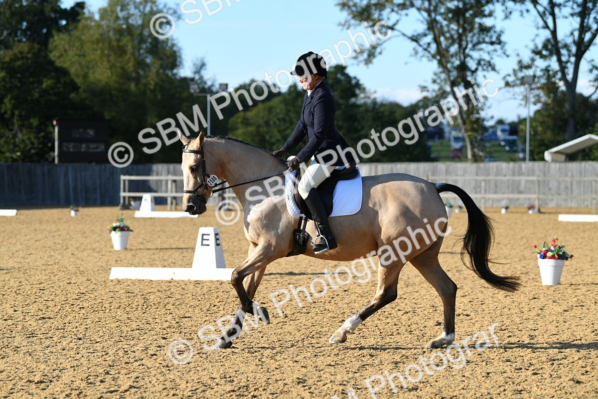 SBM_28505 - D16 - Small Tour Championship - Novice 28