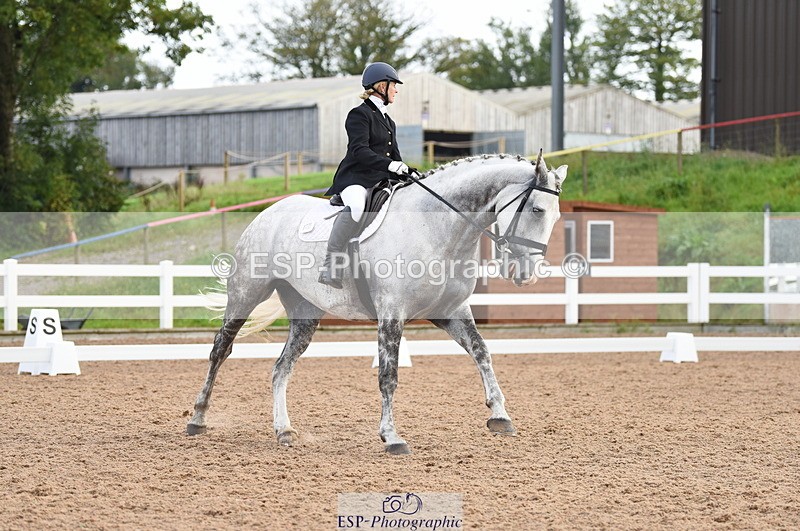 230912A-101008-00265 - Cls 2 Prelim 19