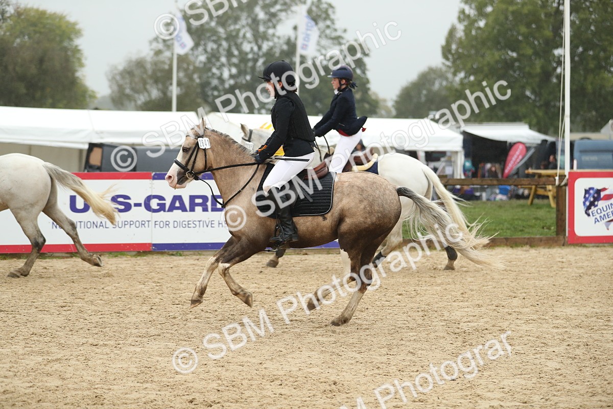 SBM_74146 - J16 - Junior Pony 75cm Championship