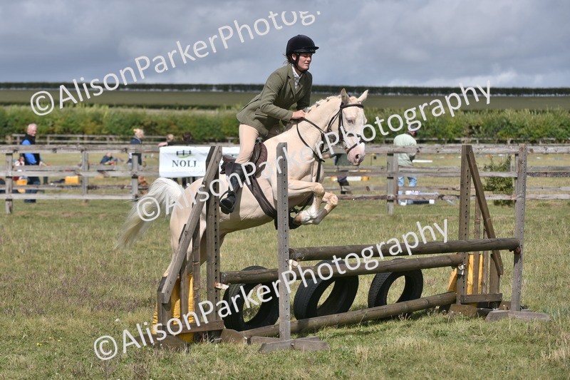 20250831-4085 - Class 13 - Working Hunter Horse or Pony