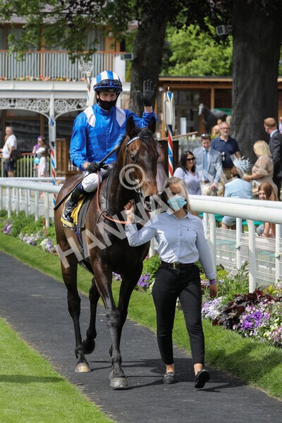 yr12062021r2-36 - Race 2 2.35pm The JCB Stakes