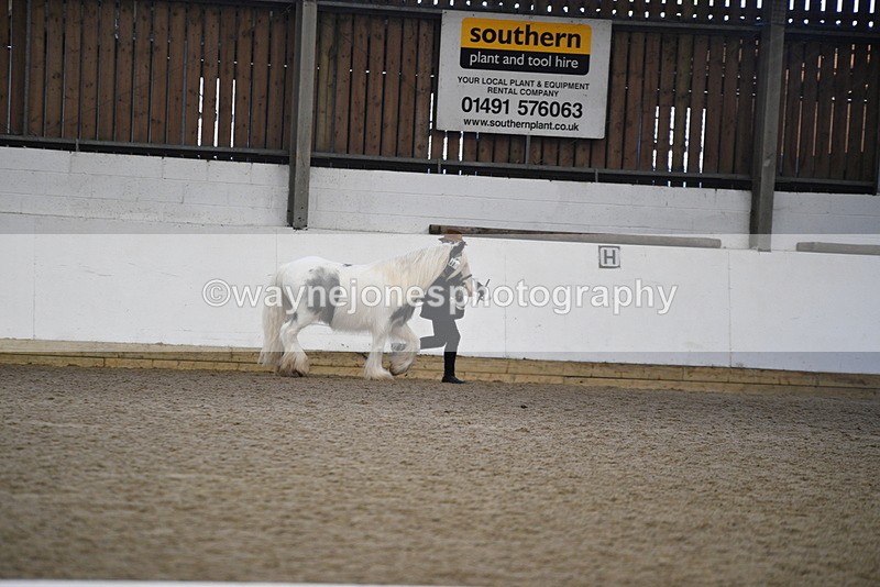 WJ5_5266 - Class 8 In hand cob