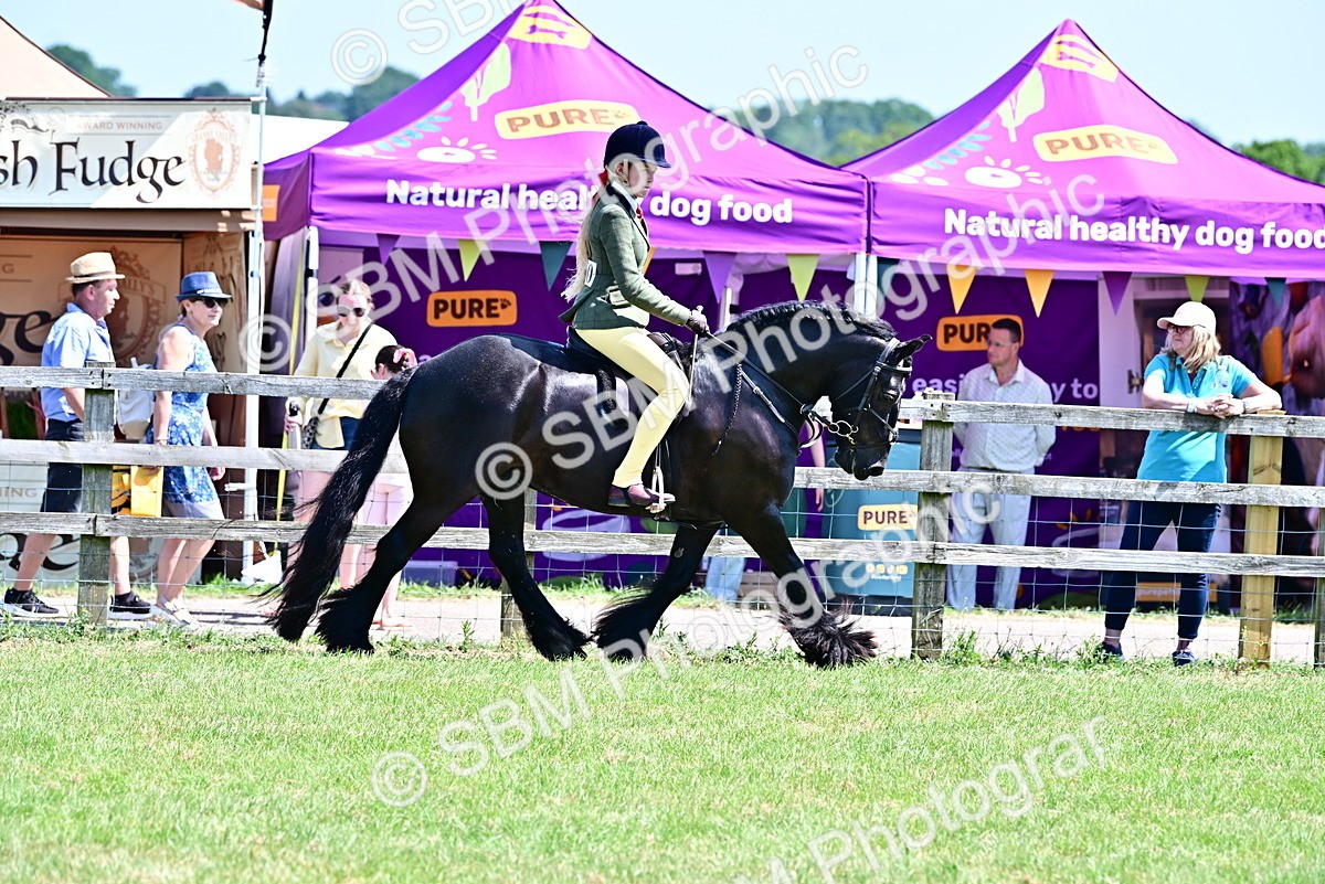 SBM_15323 - Class 95-97 - BSPS LHS Performance Ponies
