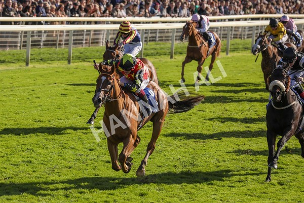 141023-Race 3-Montassib-0413 - Race 3 2.25pm Coral Sprint Trophy Handicap