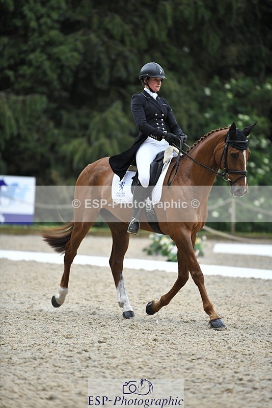 230525-125922-02071 - 113-I'M_A_WONDER-Rosie_Fry-WEDTrotUp+DR