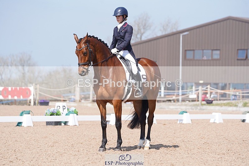 250404-122458-05647 - 028-Elizabeth.Allen-Heraldik