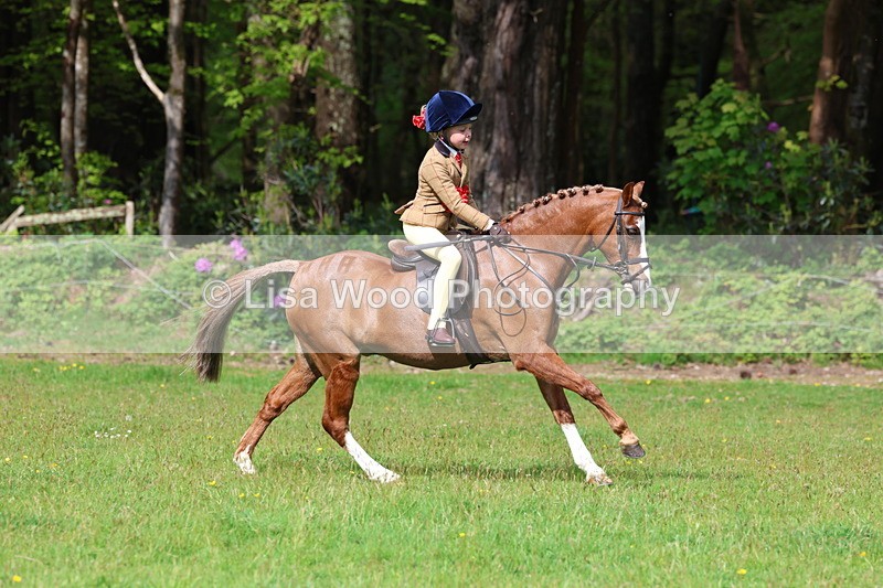 3E7A2708 - Working Hunter Championship