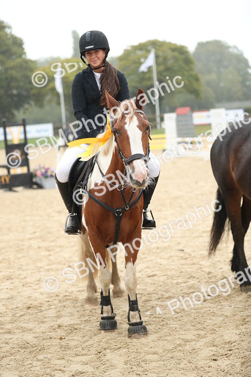 SBM_74127 - J16 - Junior Pony 75cm Championship