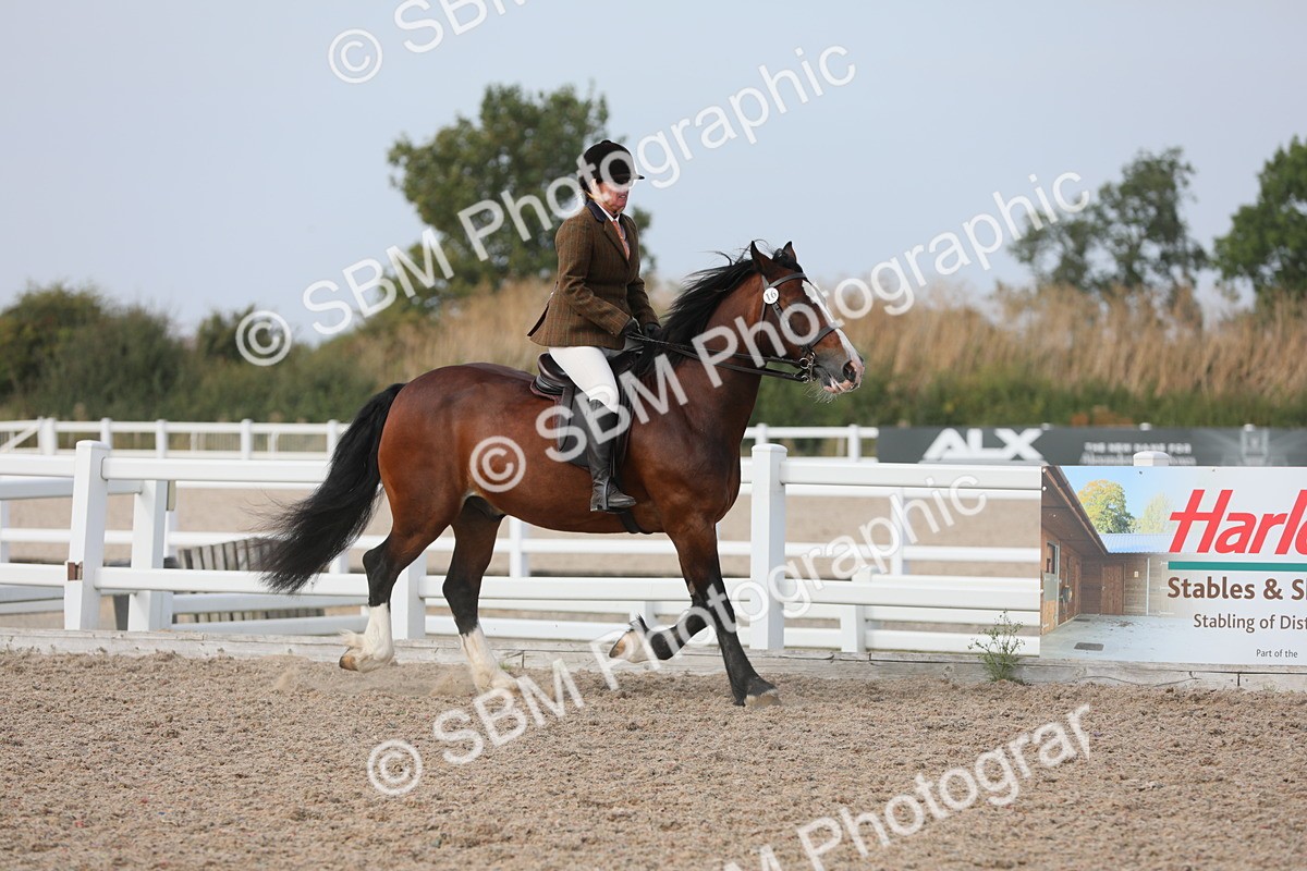 SBM_17708 - Class 315 Best Horse/Rider Combination