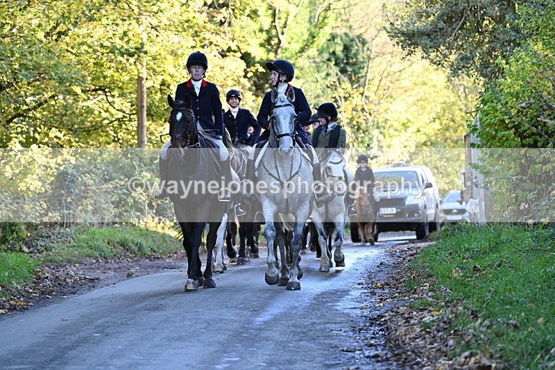 WJ7_8704 - Walk Home