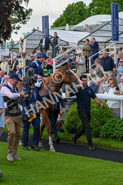 160524-Race 4-Economics-6065 - Race 4 3.45pm Al Basti Equiworld Dubai Dante Stakes