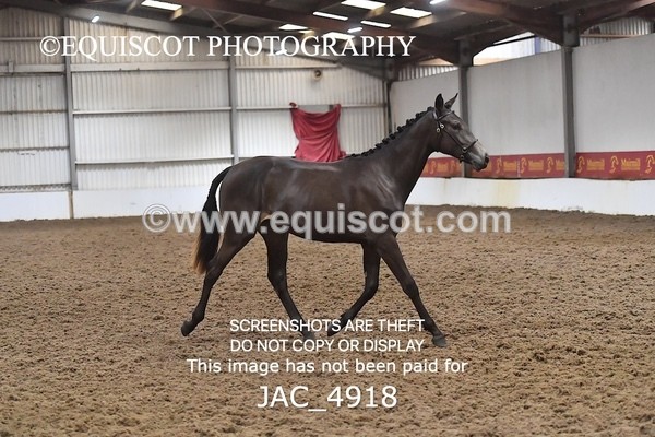 JAC_4918 - 4 River Dance, Take A Chance