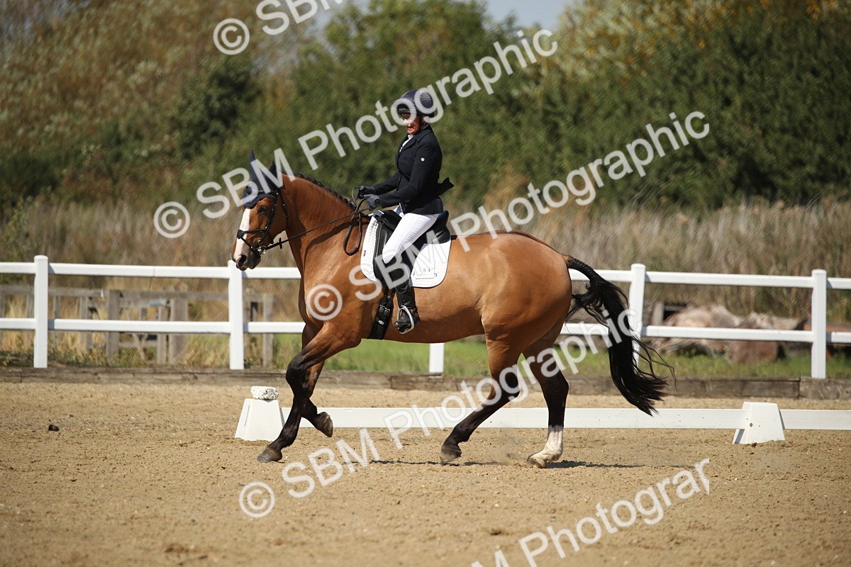 SBM_005021 - Class 11 - Novice 5 - 11.41-12.58