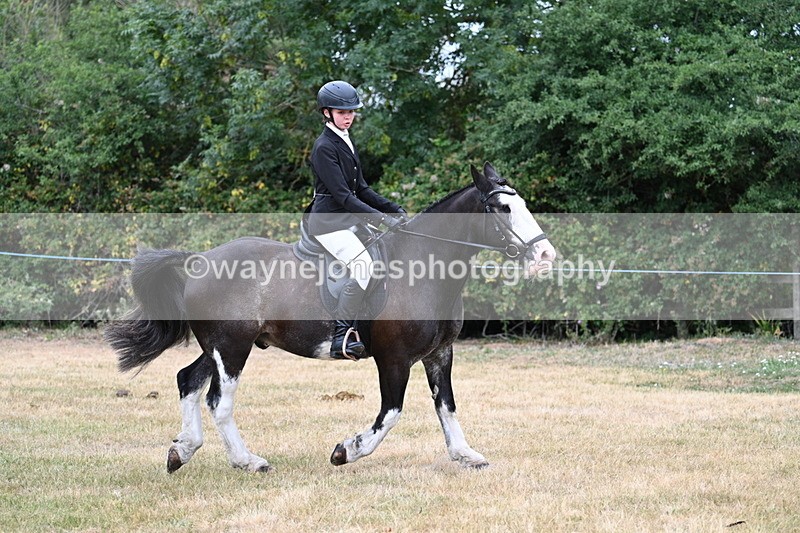 WJ7_0302 - Class 2 Best rider