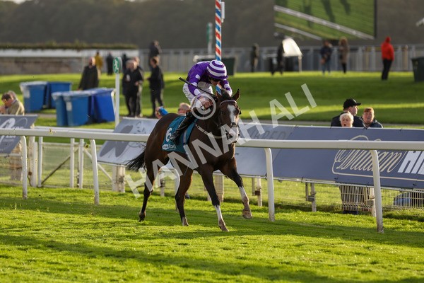 131023-Race 6-Wen Moon-9897 - Race 6 5.00pm Copper Knight - Winning Most Horse At York Handicap