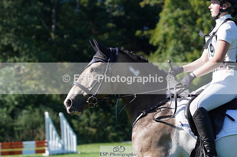 240811A-165634-06478 - 419-