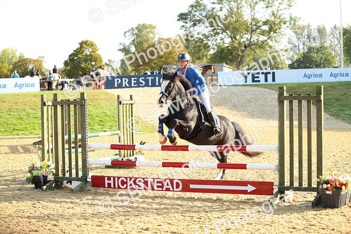 SBM_60177 - J41 - Grand Tour 95cm Championship