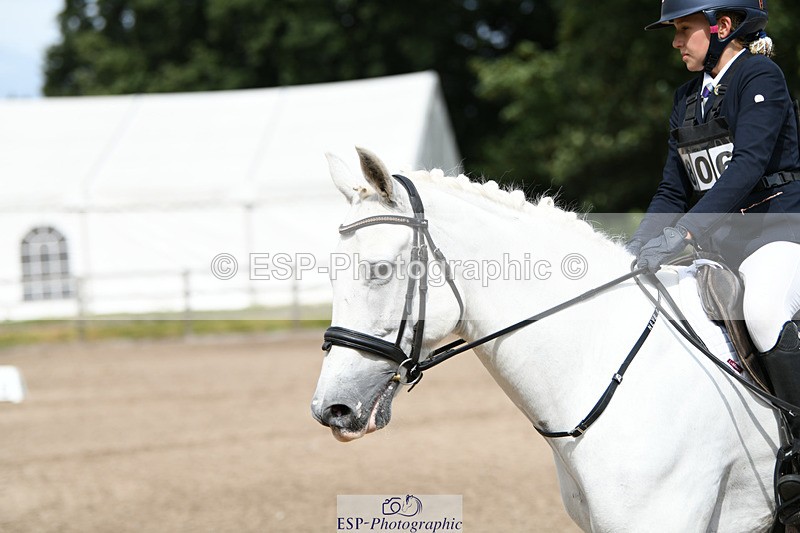 240825X-133927-34163 - 80cm SJ 12.45 to 14.00