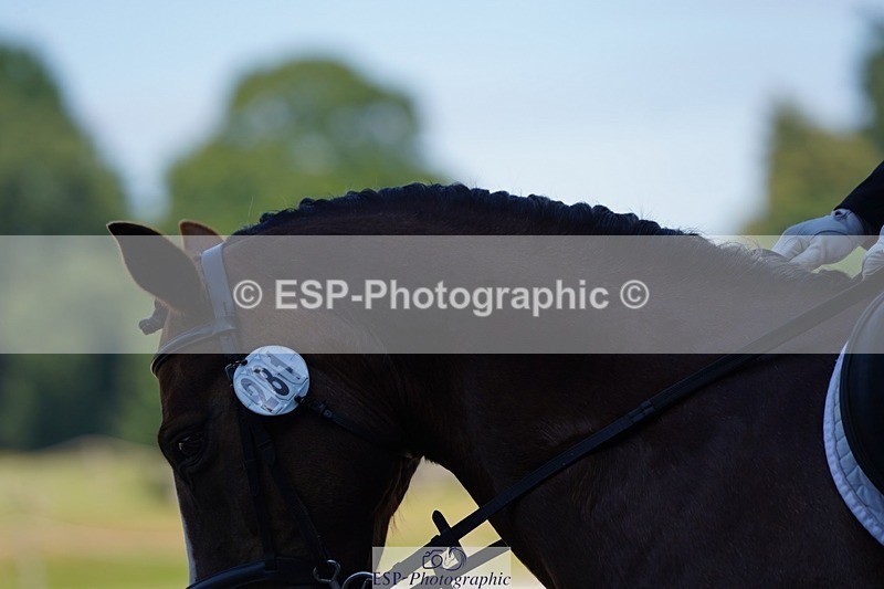 240719-100100-00432 - 281-Charlotte_Radley-Brohedydd_Marian