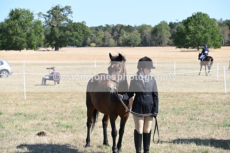 WJ6_7619 - Class 34 Judges Choice
