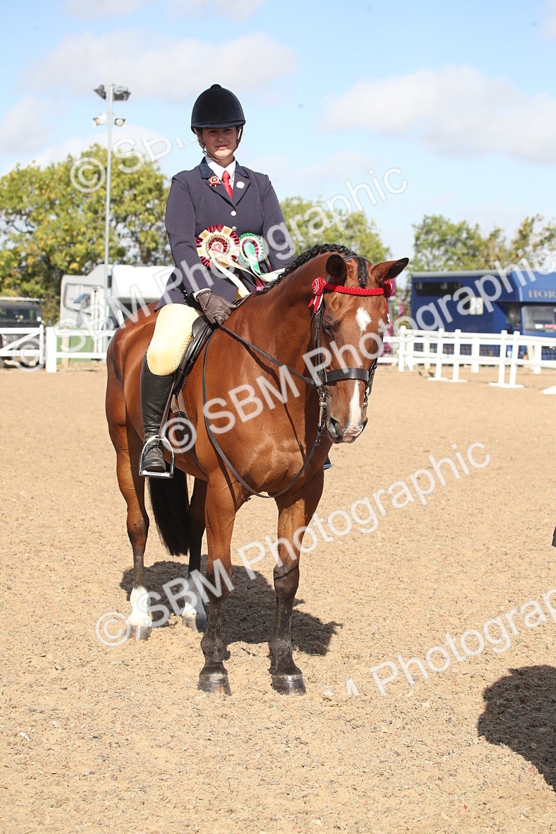SBM_22873 - Class 602 - 2026 Area - Ridden Veteran
