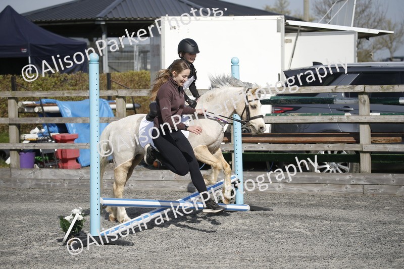 20250412-0243 - Show Jumping