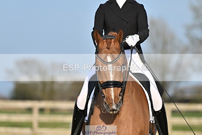 250404-183042-08686 - 150-Nathalie.Wahlund-Cerano.Gold